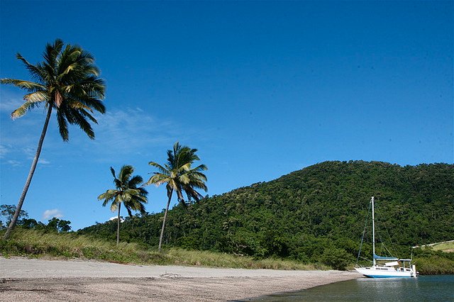 11 Discovery Drive FLAMETREE 21