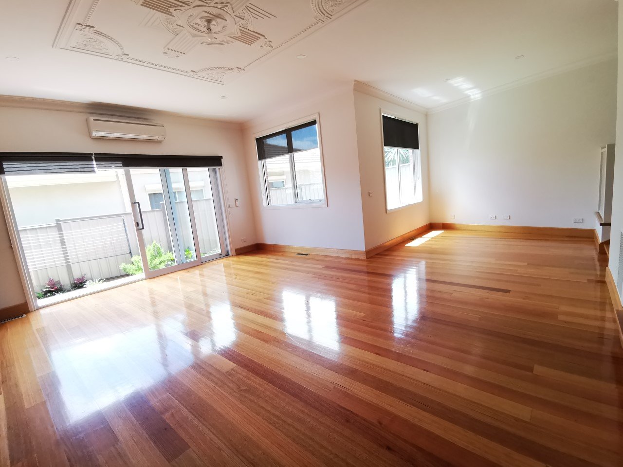 Gallery: 11 Ellery Street