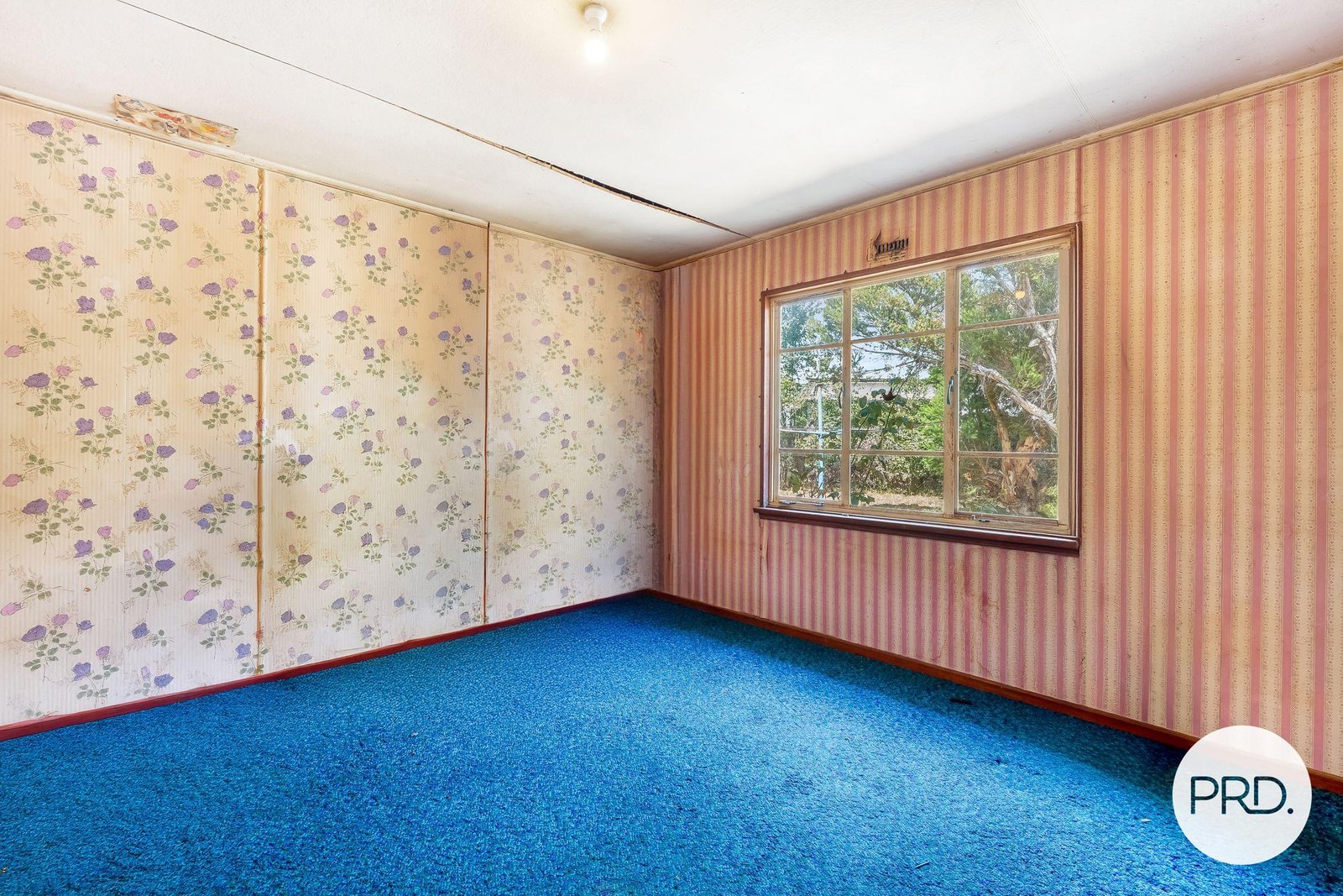 11 Erebus Street WARRANE 21