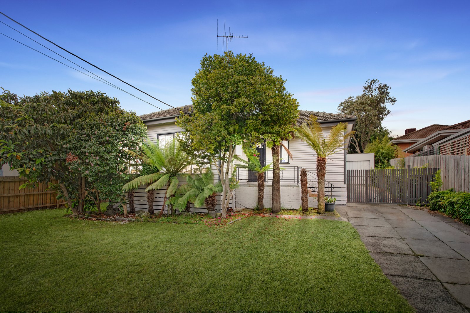 Gallery: 11 Evans Street