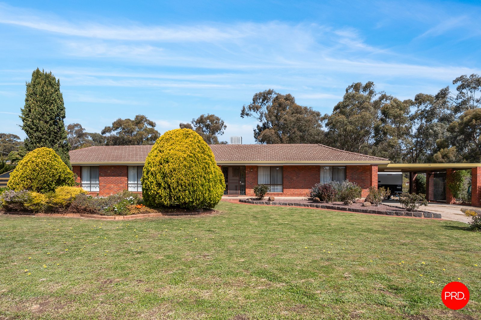 11 Forest Drive ASCOT 4