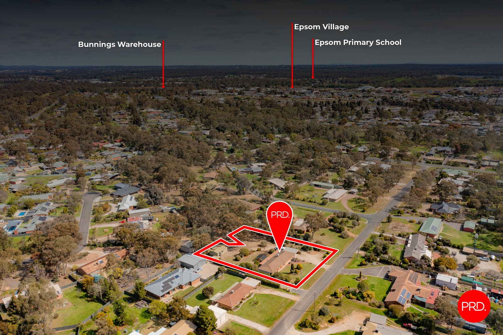 11 Forest Drive ASCOT 24