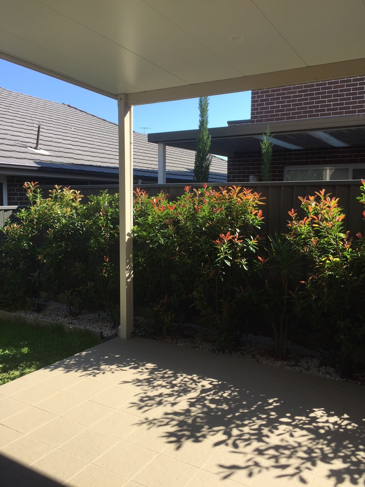 11 Gallinulia Place GLENMORE PARK 20