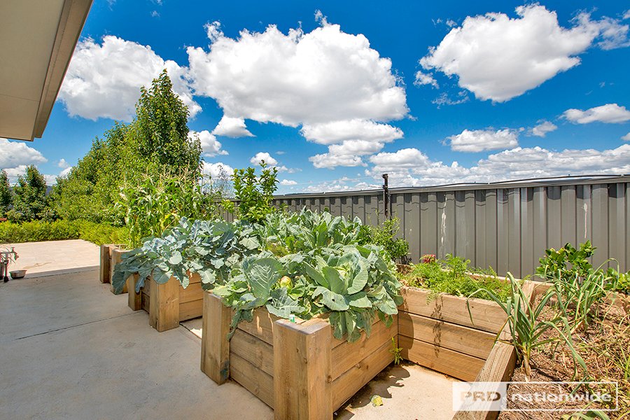 11 Galloway Place TAMWORTH 5