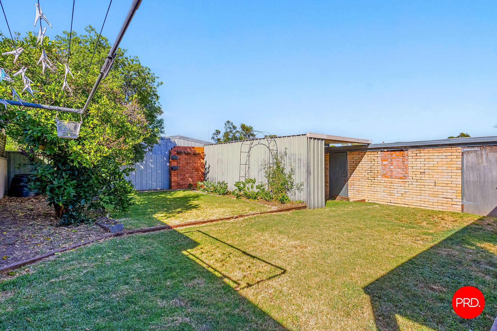 11 Grace Street WHITE HILLS 11