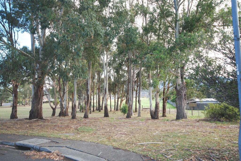 11 Henry Crescent NEW NORFOLK 1