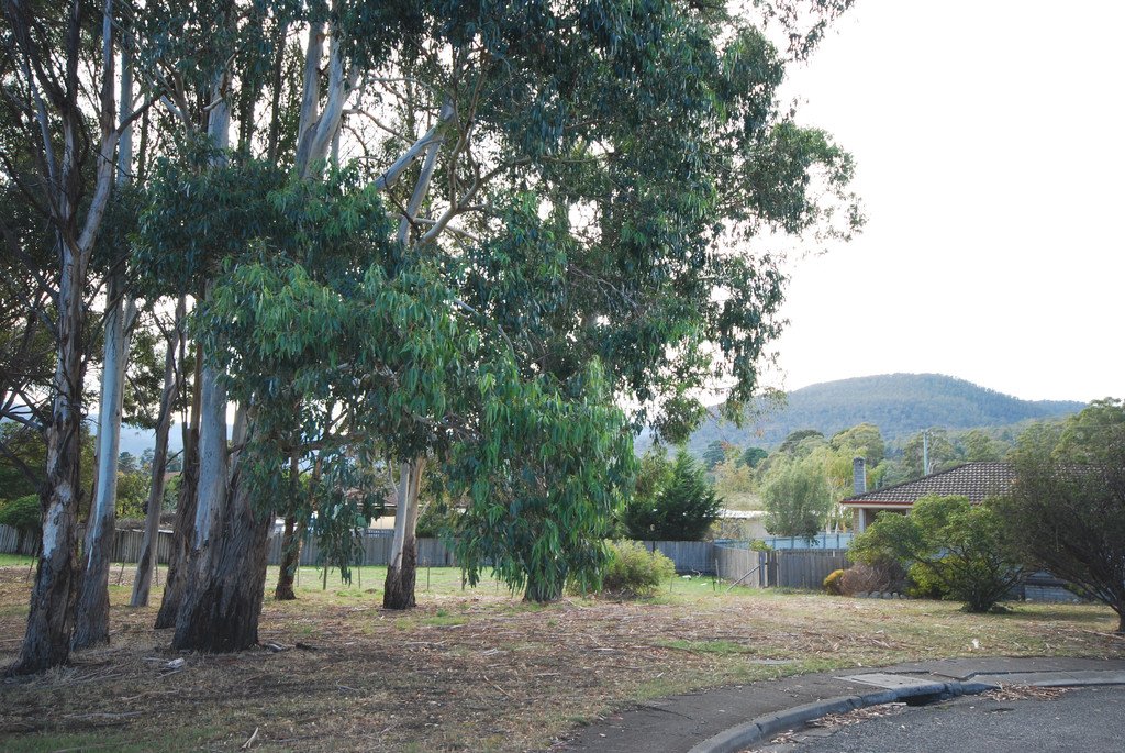 11 Henry Crescent NEW NORFOLK 3