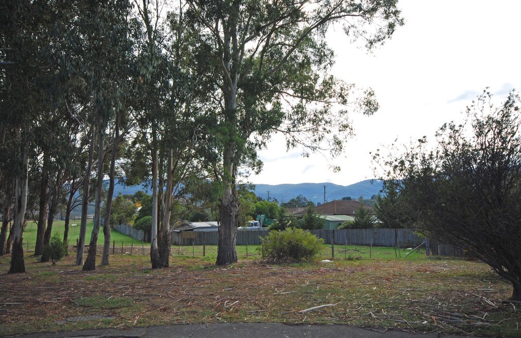 11 Henry Crescent NEW NORFOLK 6
