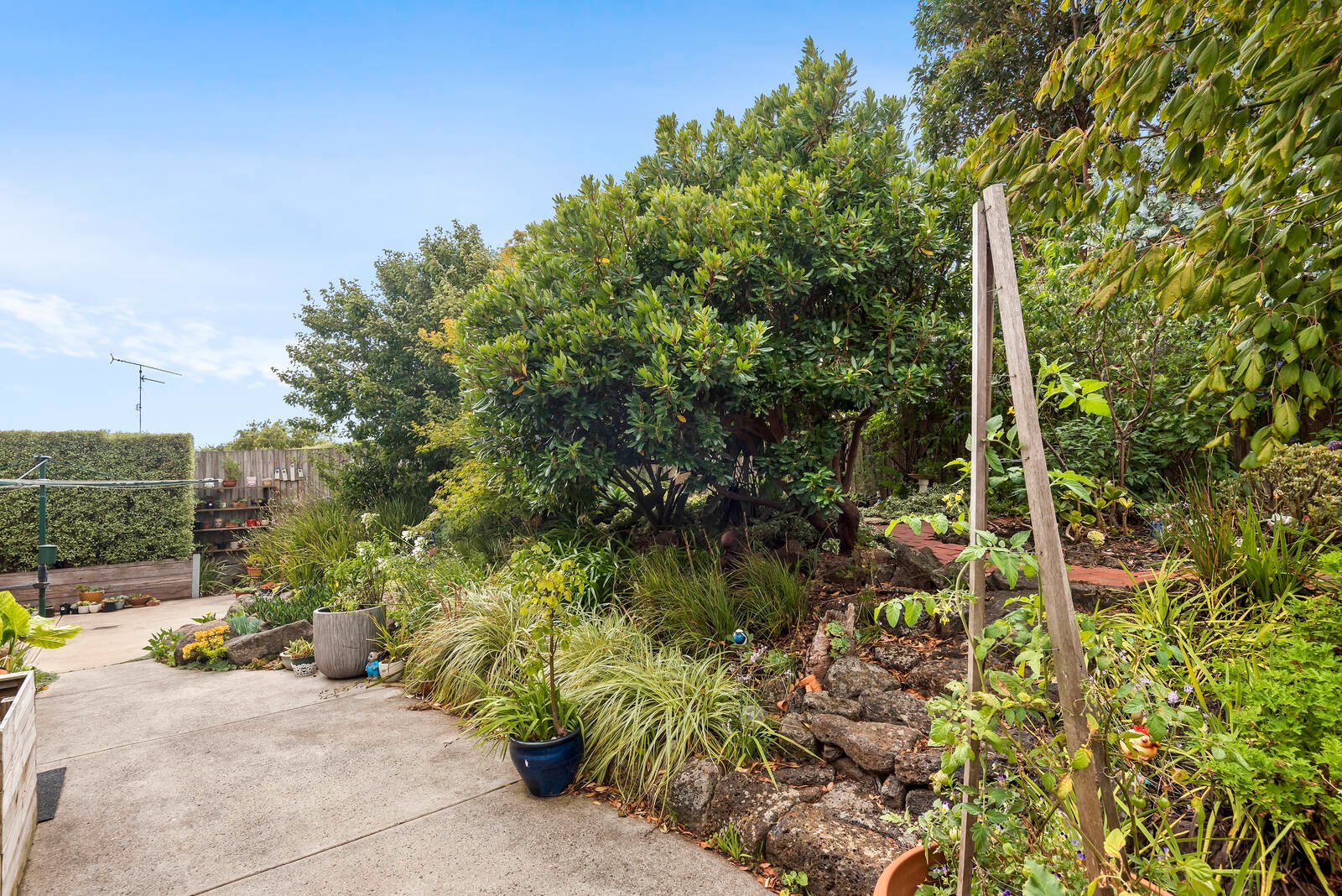 Real Estate and Property in 11 Heytesbury Drive, Leopold, VIC