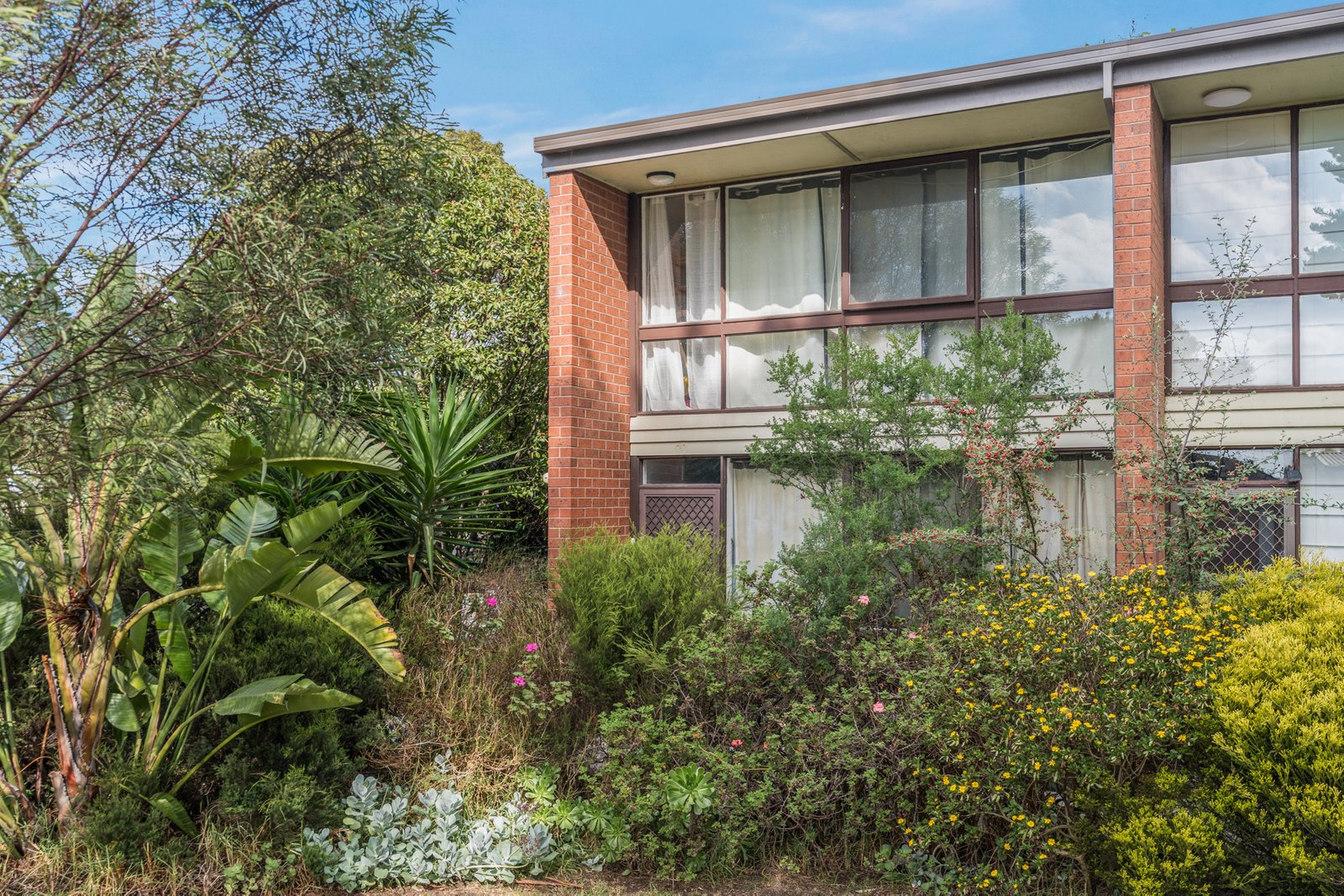 Gallery: 1/1 Holman Court