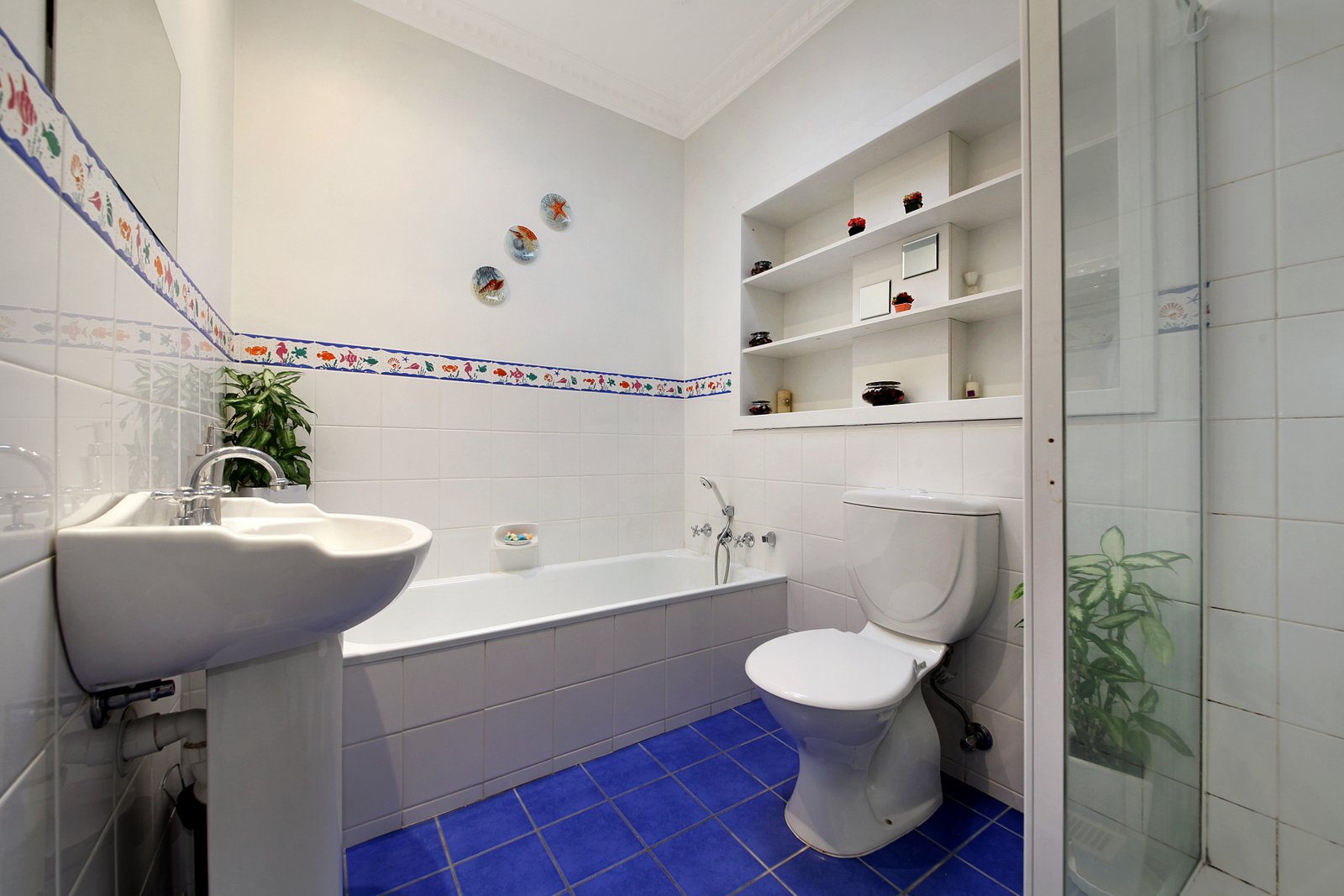 Gallery: 11 Jackson Road