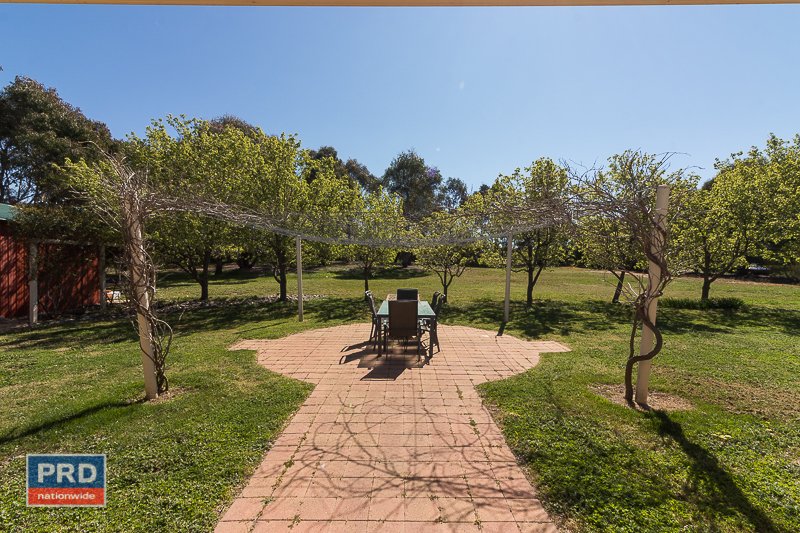 11 John Dwyer Crescent BUNGENDORE 16