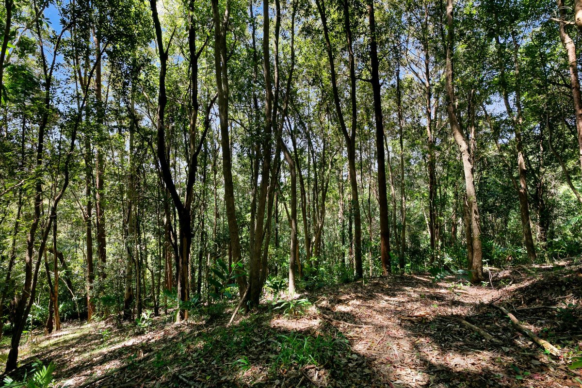 11 Kianga Court Currumbin Valley 30