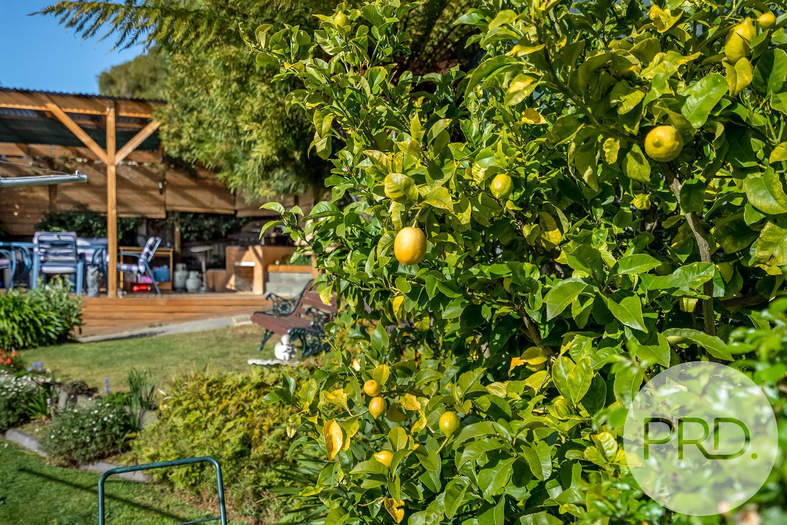 11 Kilander Crescent BERRIEDALE 8