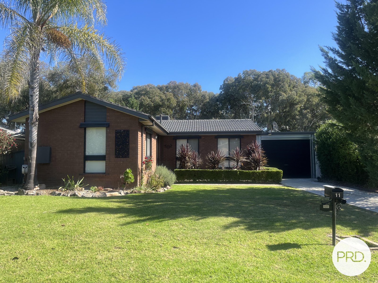 11 Lacebark Court THURGOONA 1