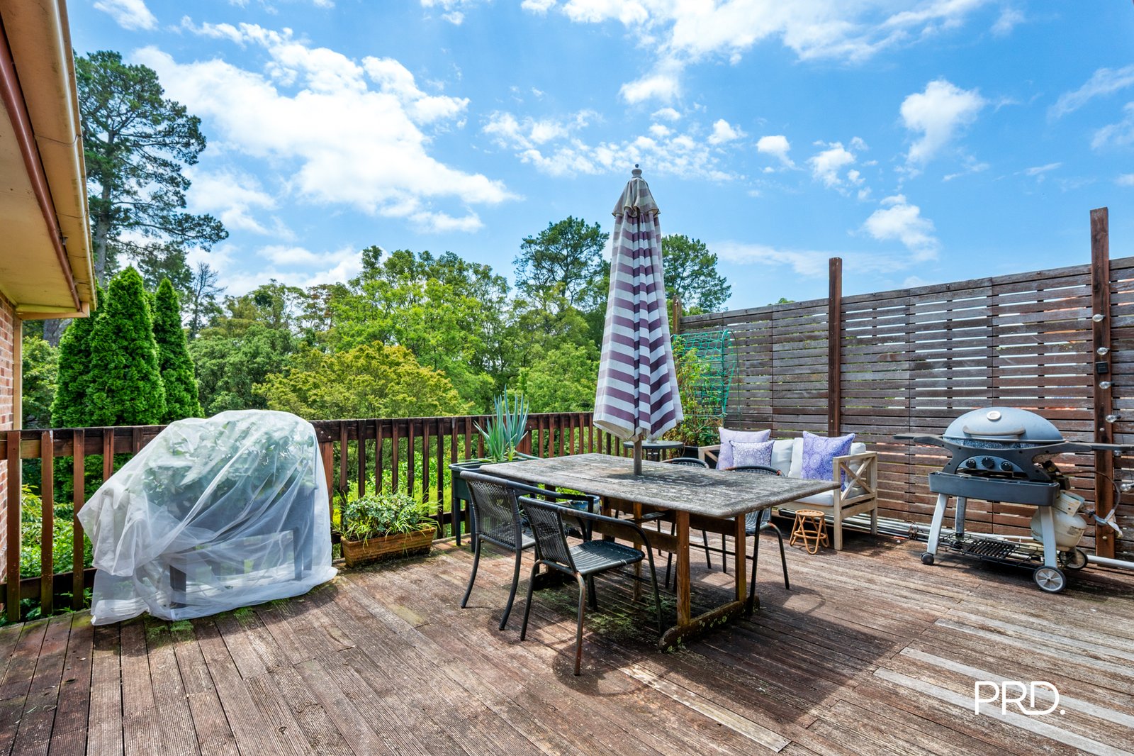 11 Luchetti Avenue HAZELBROOK 12