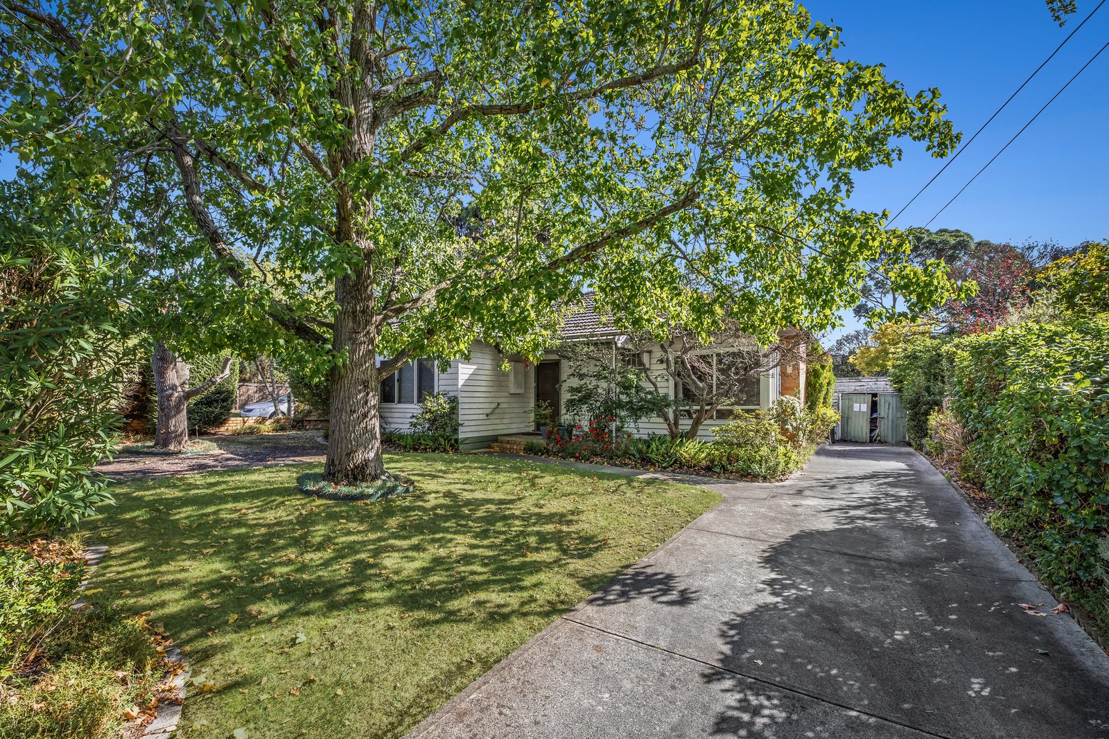 Gallery: 11 Morshead Avenue