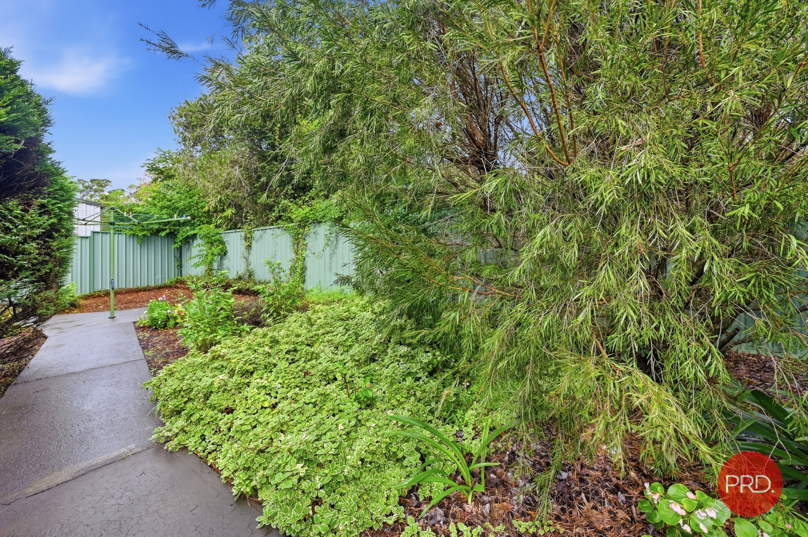 11 Nana Street NANA GLEN 17