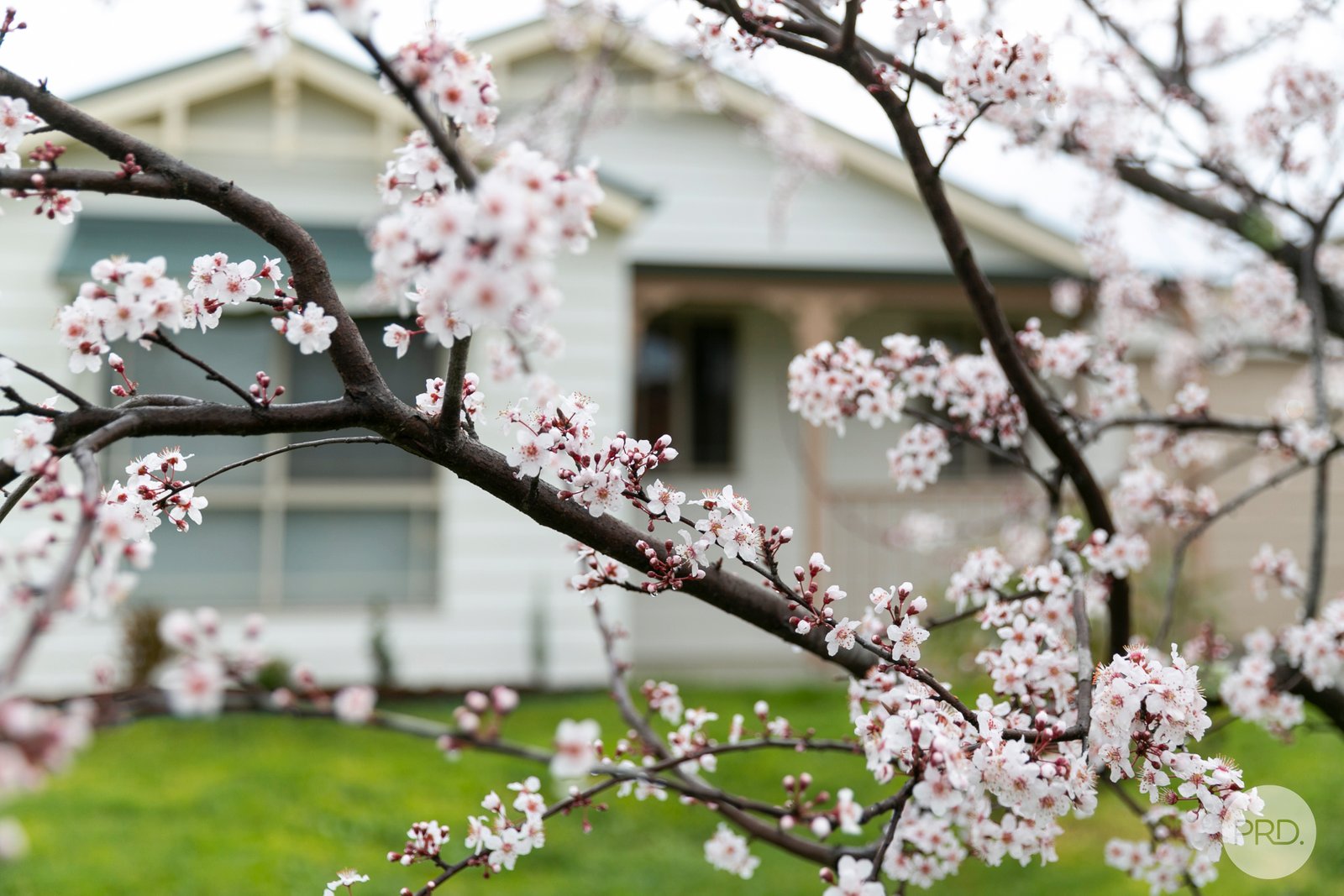 11 Newman Street BALLARAT EAST 3
