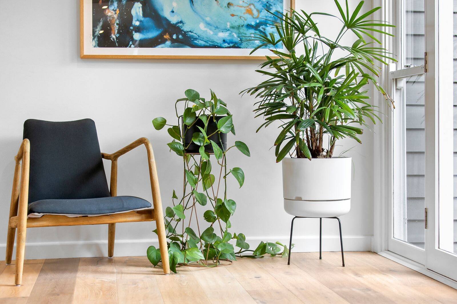 Real Estate and Property in 11 Noble Street, Barwon Heads, VIC