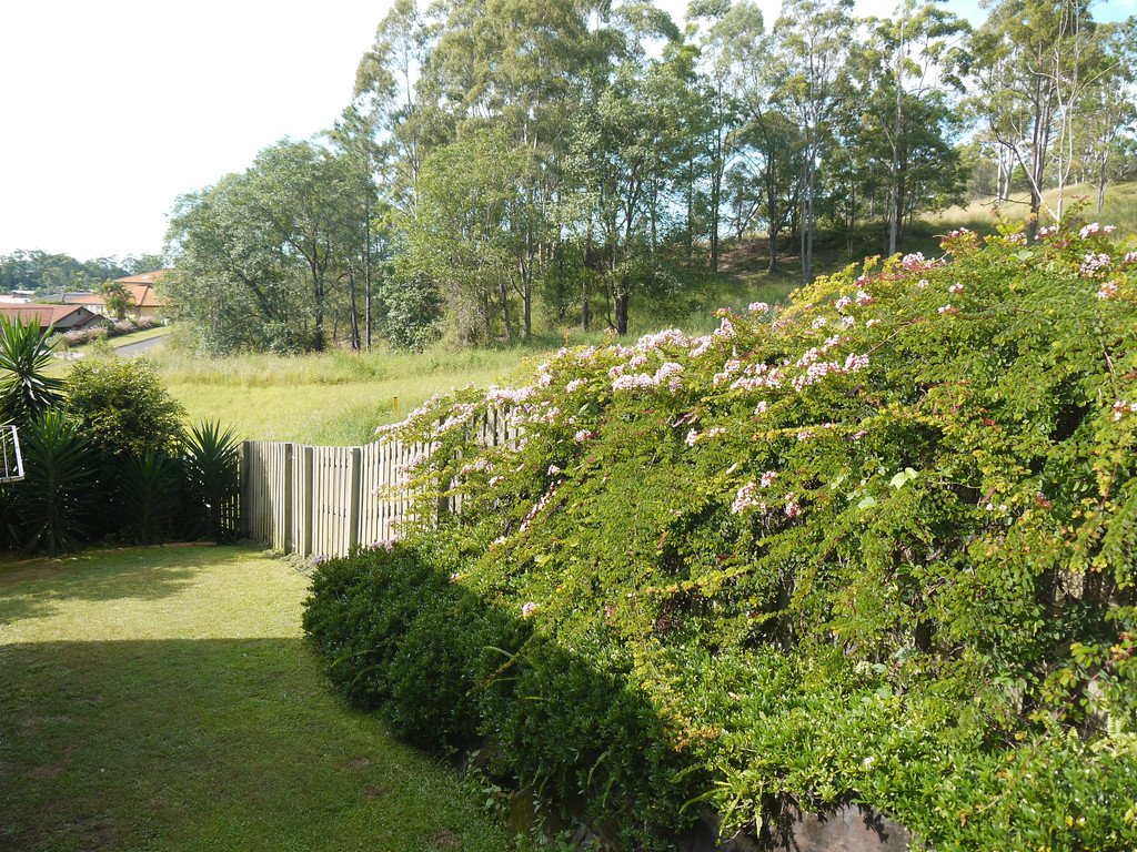 11 Numalla Court ELANORA 16