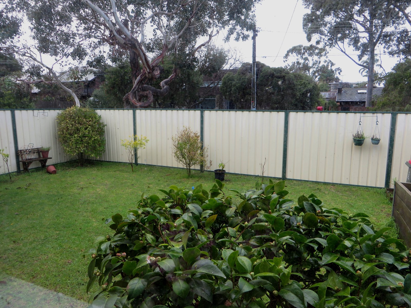 Gallery: 1/1 O'Connor Street