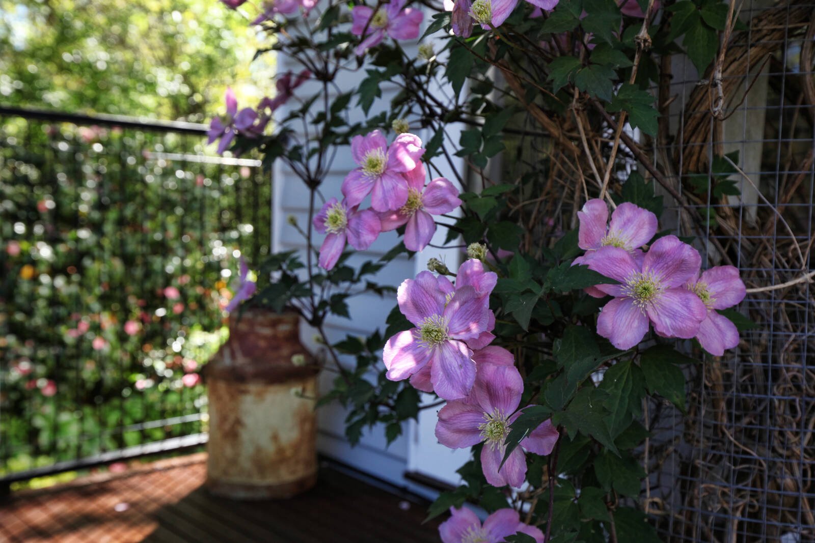 Real Estate and Property in 11 Old Lancefield Road, Woodend, VIC