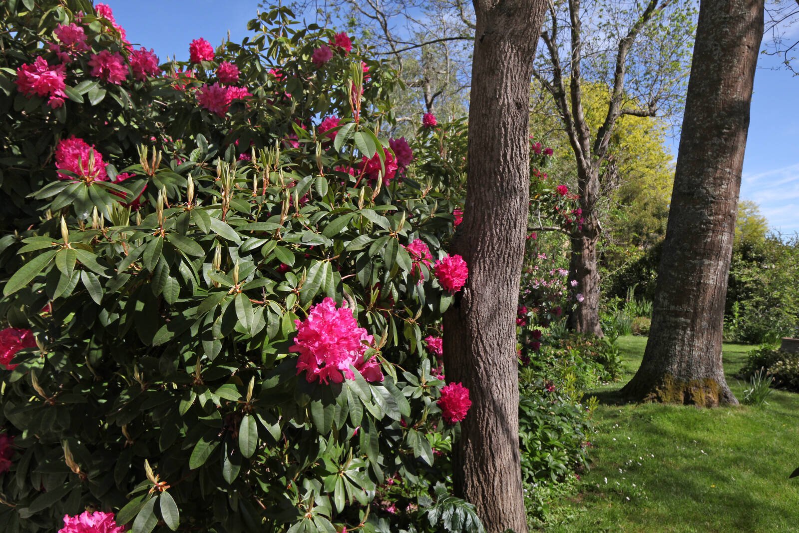 Real Estate and Property in 11 Old Lancefield Road, Woodend, VIC