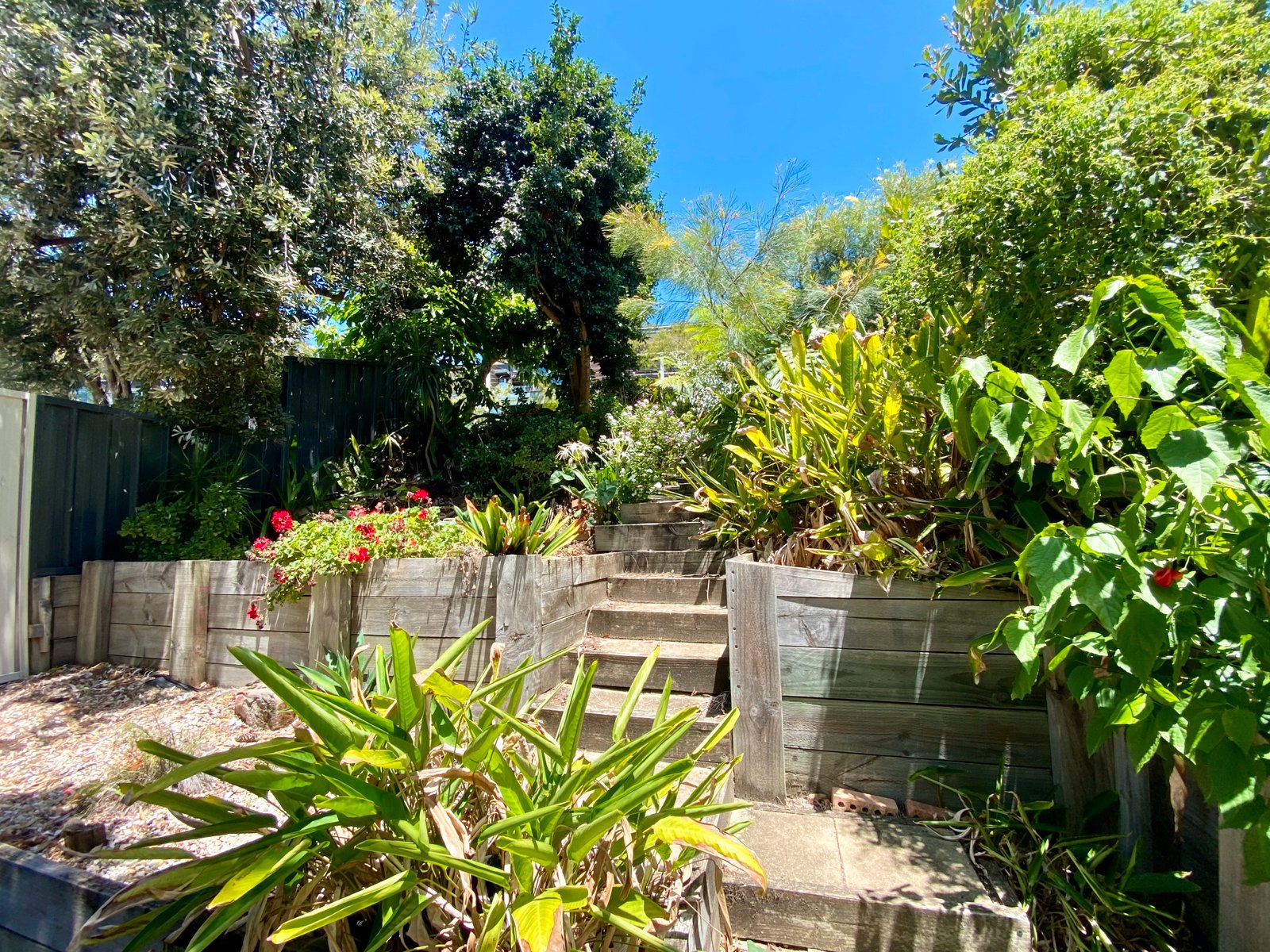 11 Pantowora Street CORLETTE 17