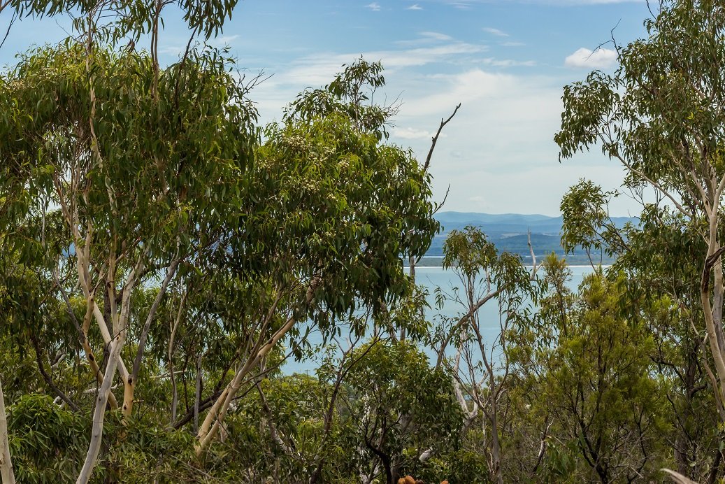 11 Pillinda Court NELSON BAY 7