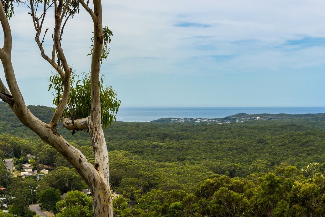 11 Pillinda Court NELSON BAY 8