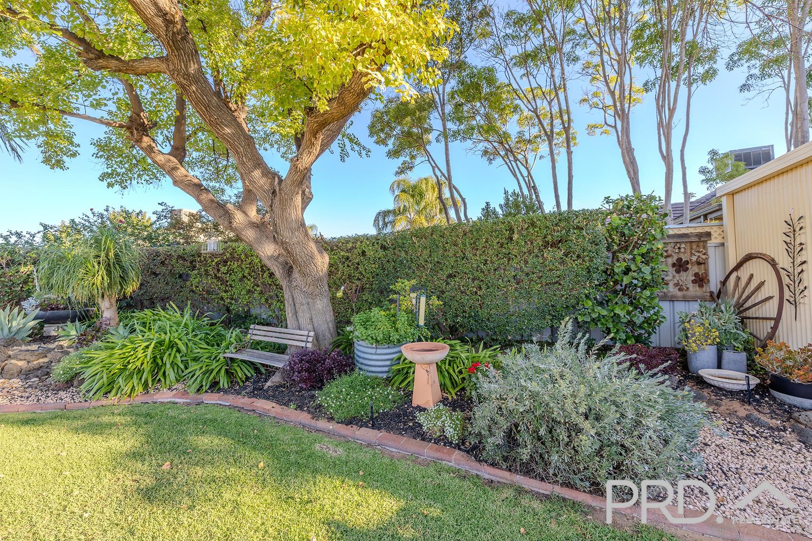 11 Plant Court MILDURA 19