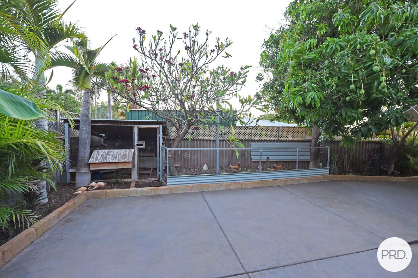 11 Prymn Court PEGS CREEK 5