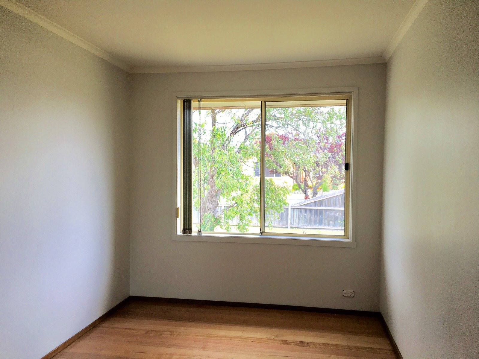 Gallery: 11 Saturn Street