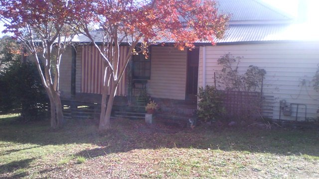 11 Snowy Mountains Highway ADELONG 6