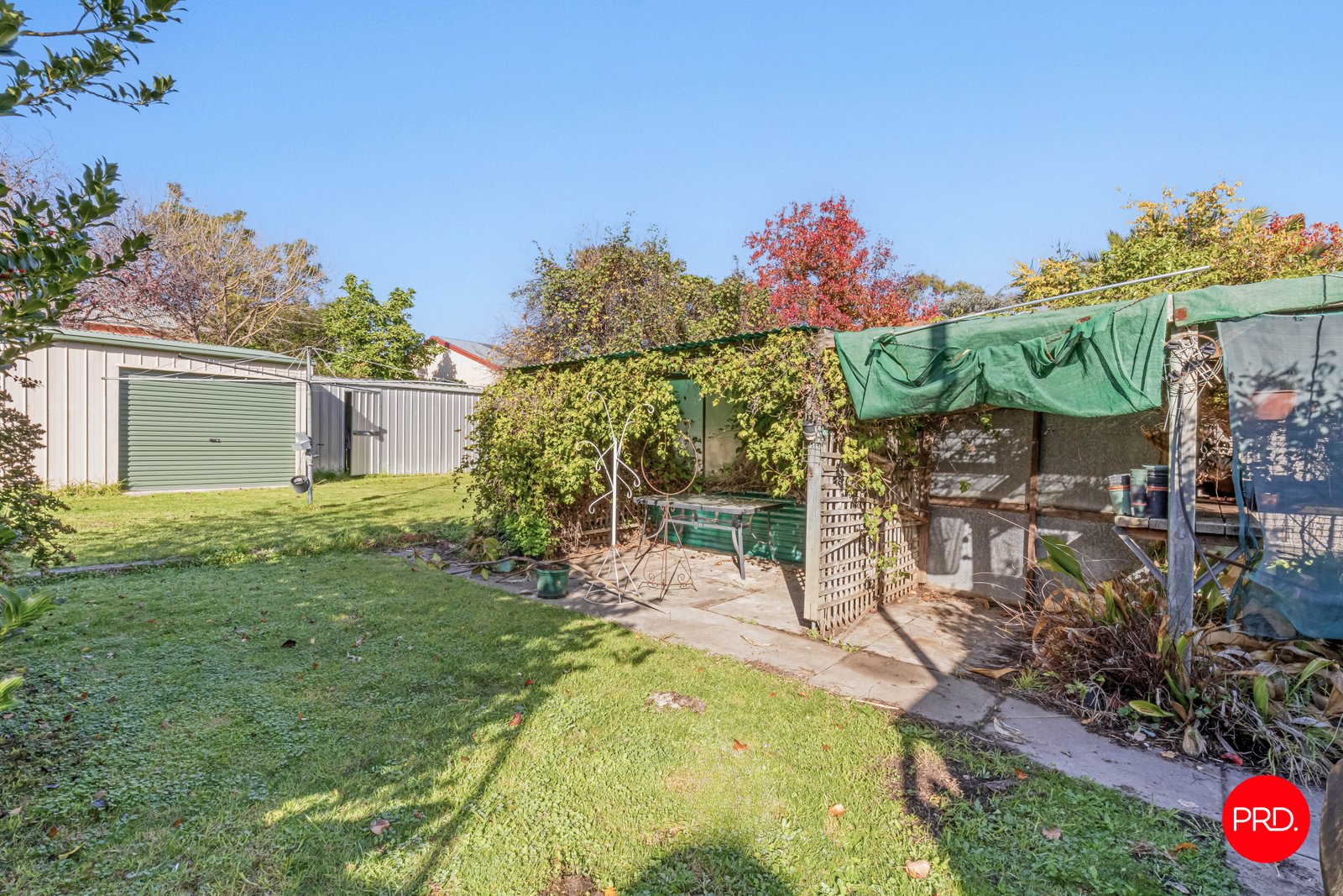 11 Stevenson Street BENDIGO 16