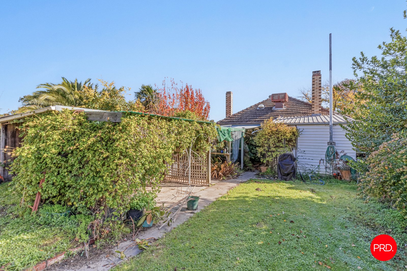 11 Stevenson Street BENDIGO 18