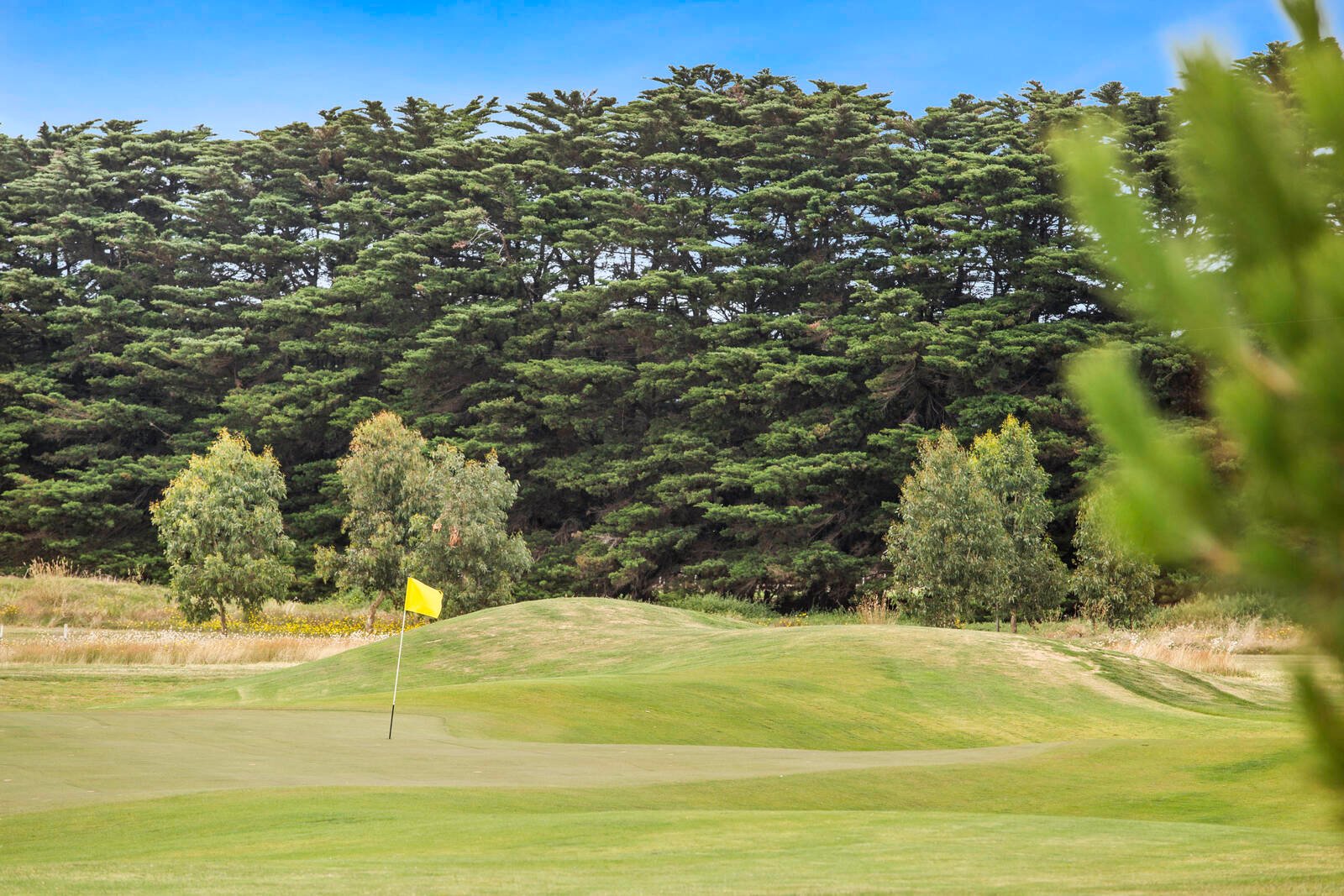 Real Estate and Property in 11 Stone Pine Court, Connewarre, VIC