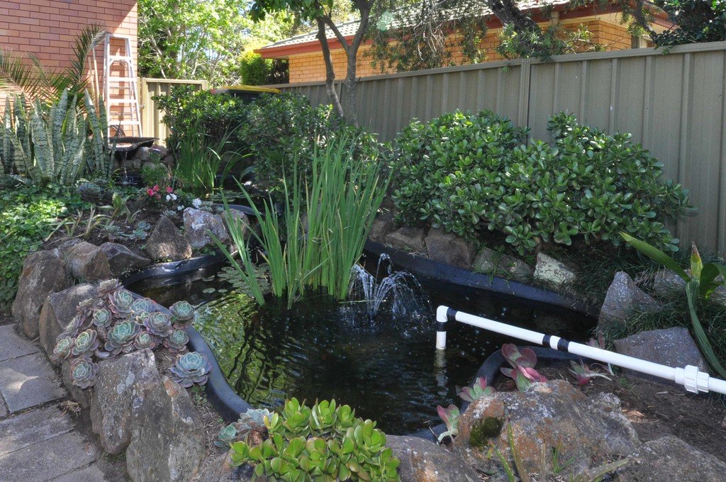 11 Sylvan Crescent EAST MAITLAND 10