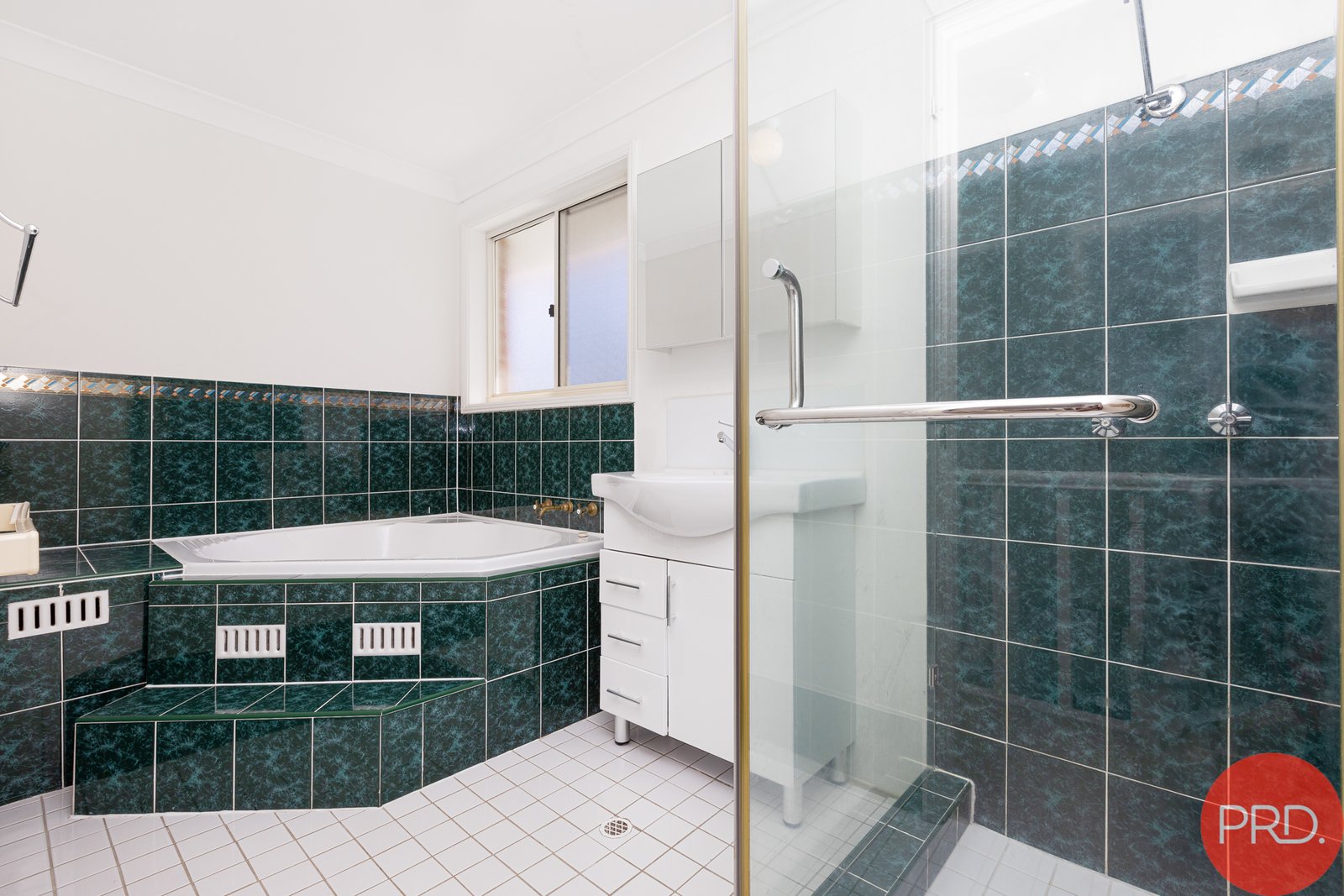 11 Turtle Avenue ASHTONFIELD 19