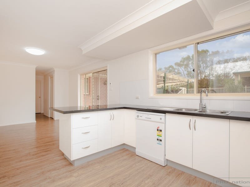 11 Turtle Avenue ASHTONFIELD 19