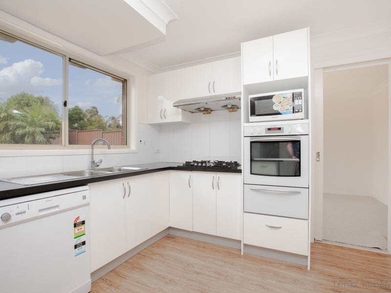 11 Turtle Avenue ASHTONFIELD 20