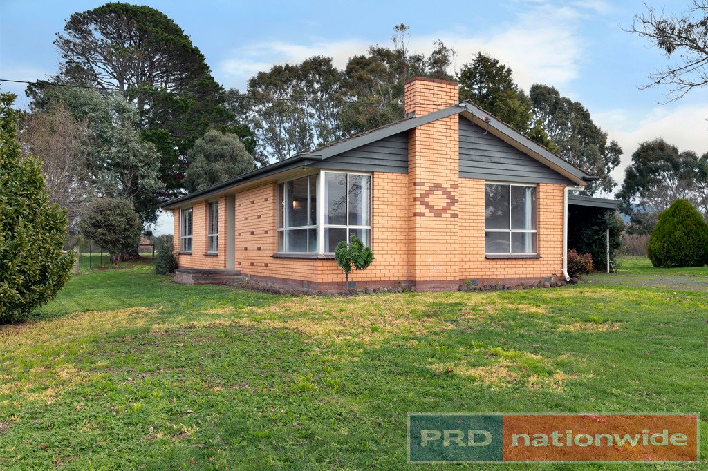 11 Vaughan Street RAGLAN 2