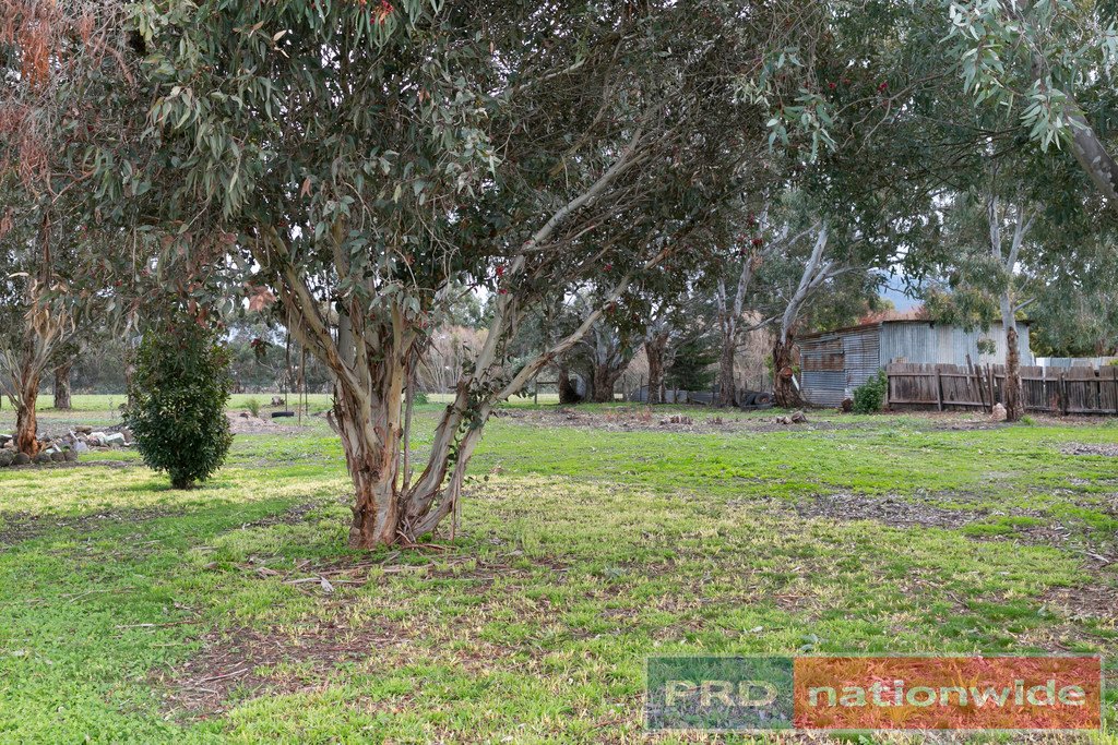 11 Vaughan Street RAGLAN 3