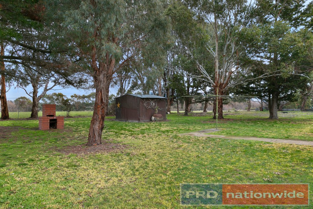 11 Vaughan Street RAGLAN 6