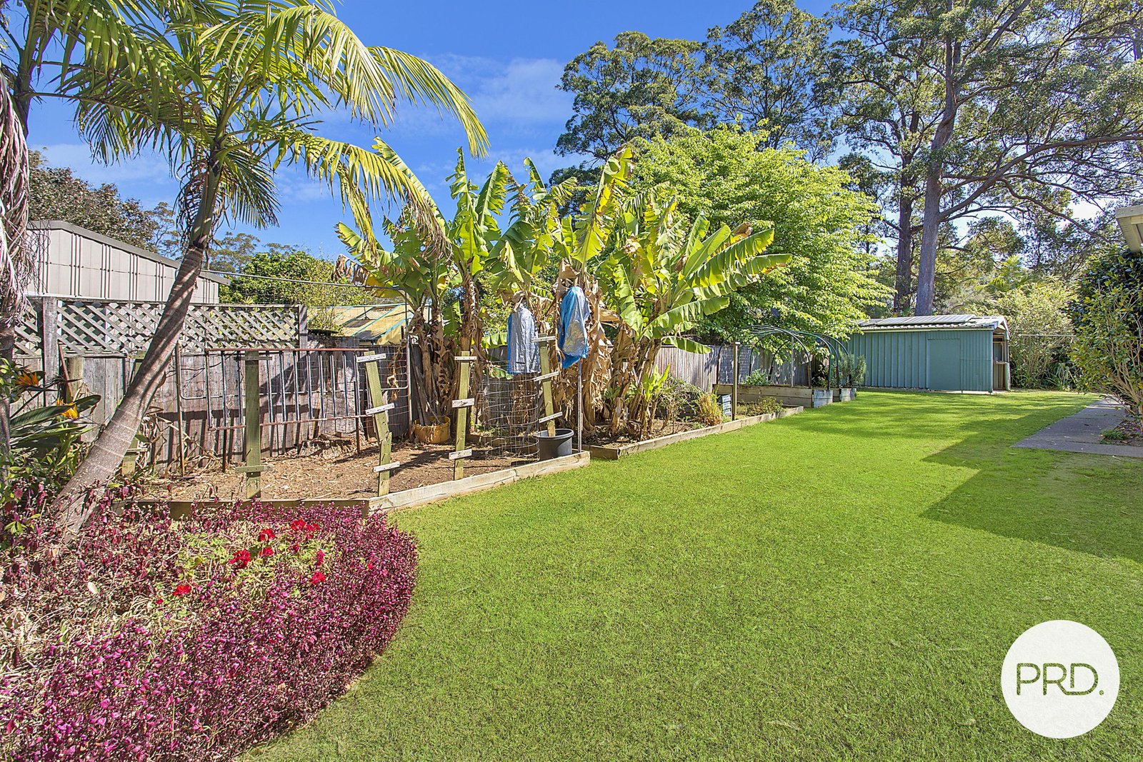 11 Victoria Place WEST HAVEN 16