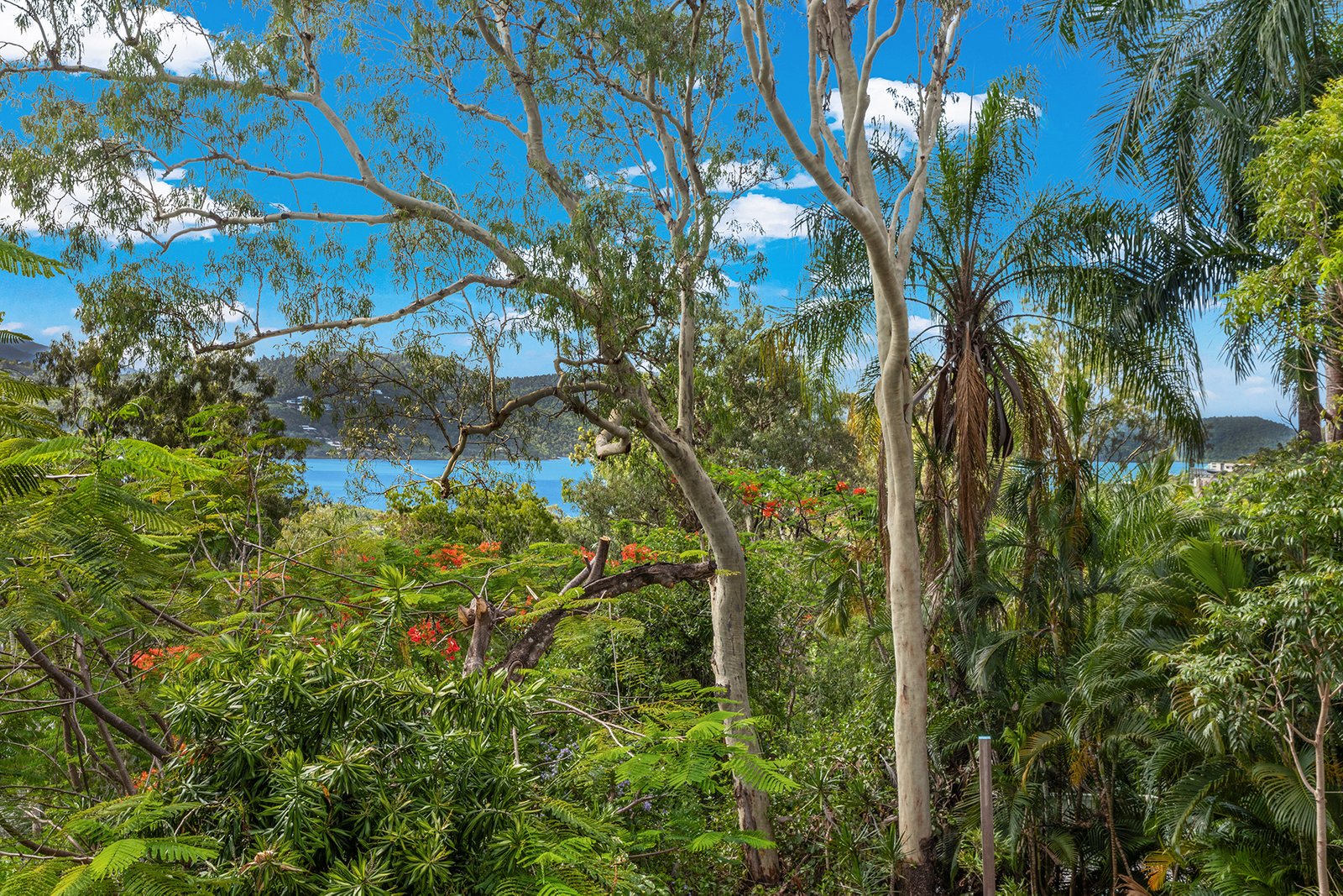 11 Warruga Street CANNONVALE 12