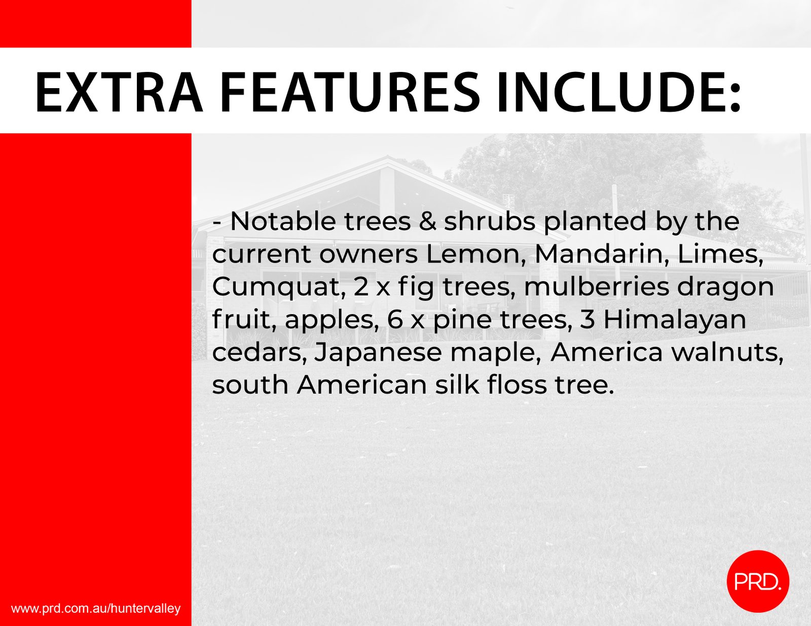 11 Westbourne Road BOLWARRA 27