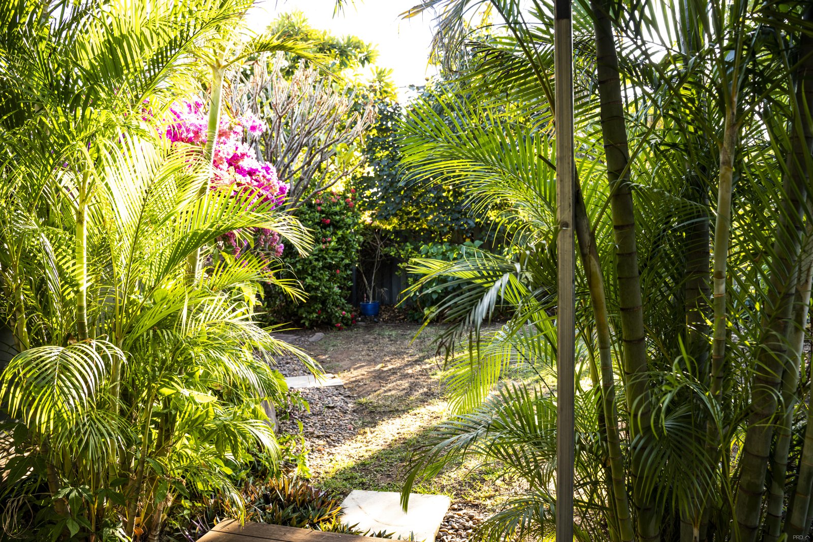 11 Woollybutt Place KUNUNURRA 26