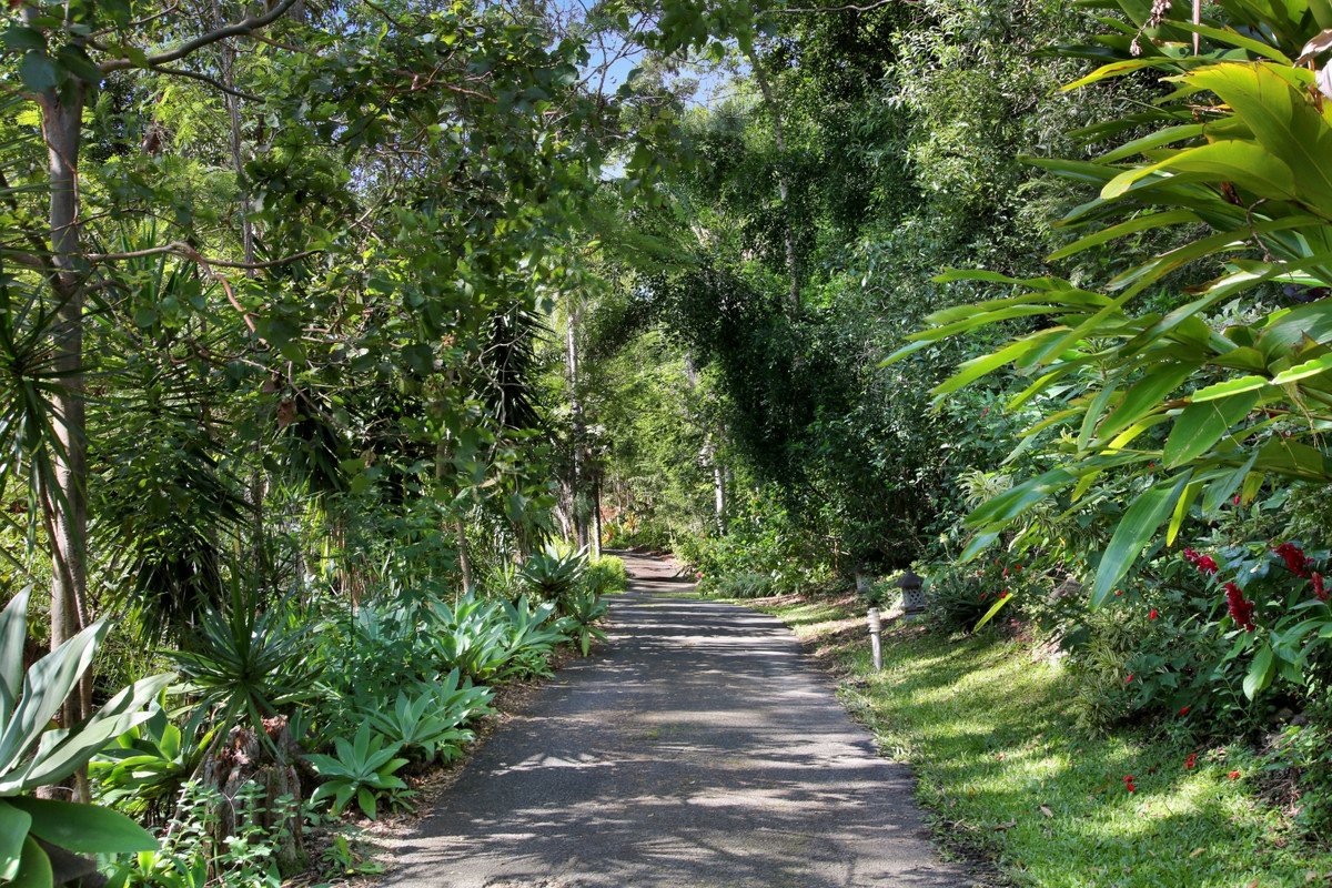 11 Yandala Place Tallebudgera 7